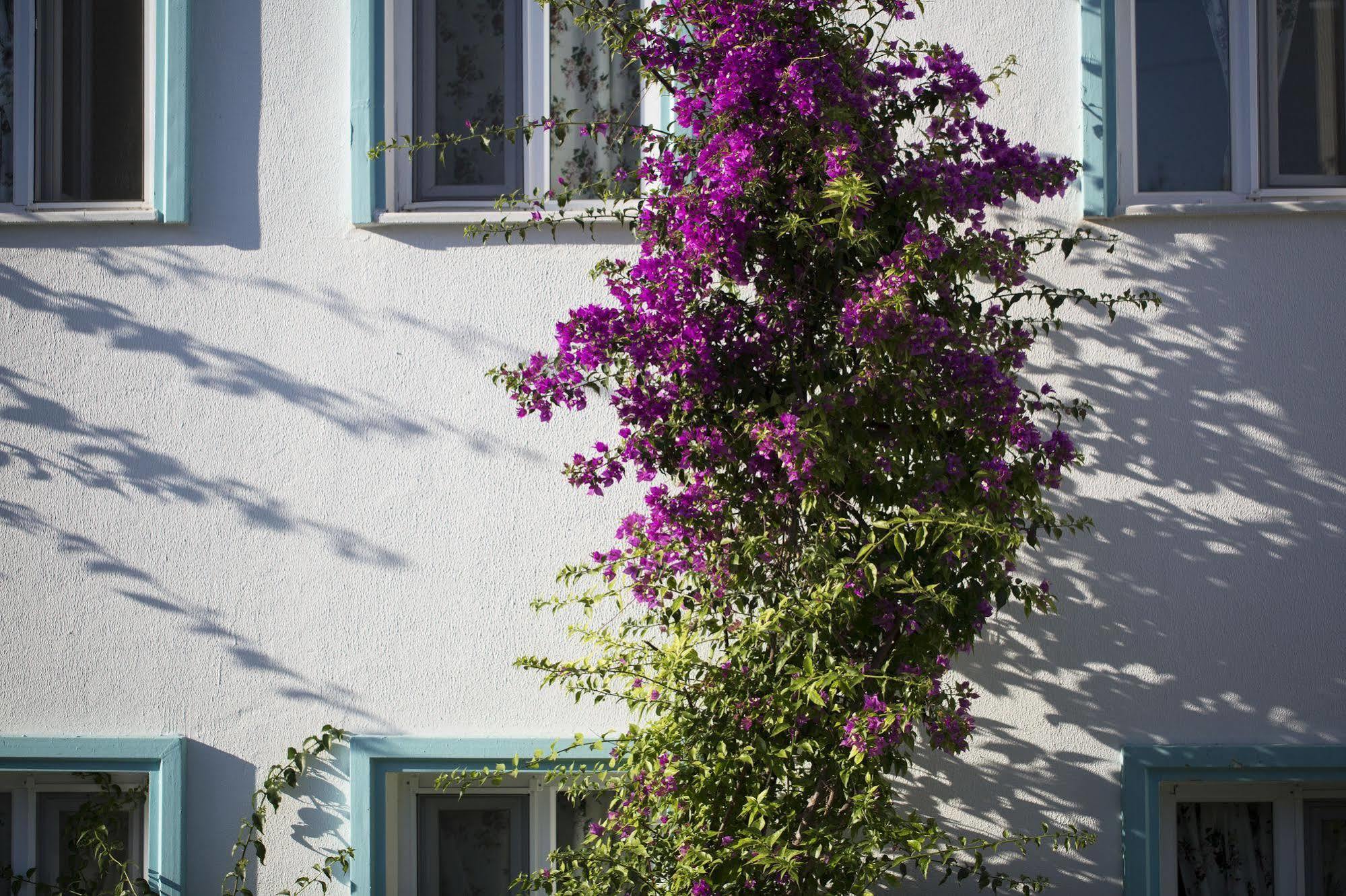Istanbul Hotel Bodrum Turkbuku Exteriér fotografie