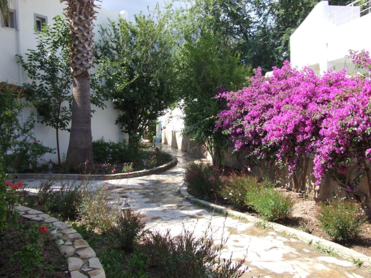 Istanbul Hotel Bodrum Turkbuku Exteriér fotografie